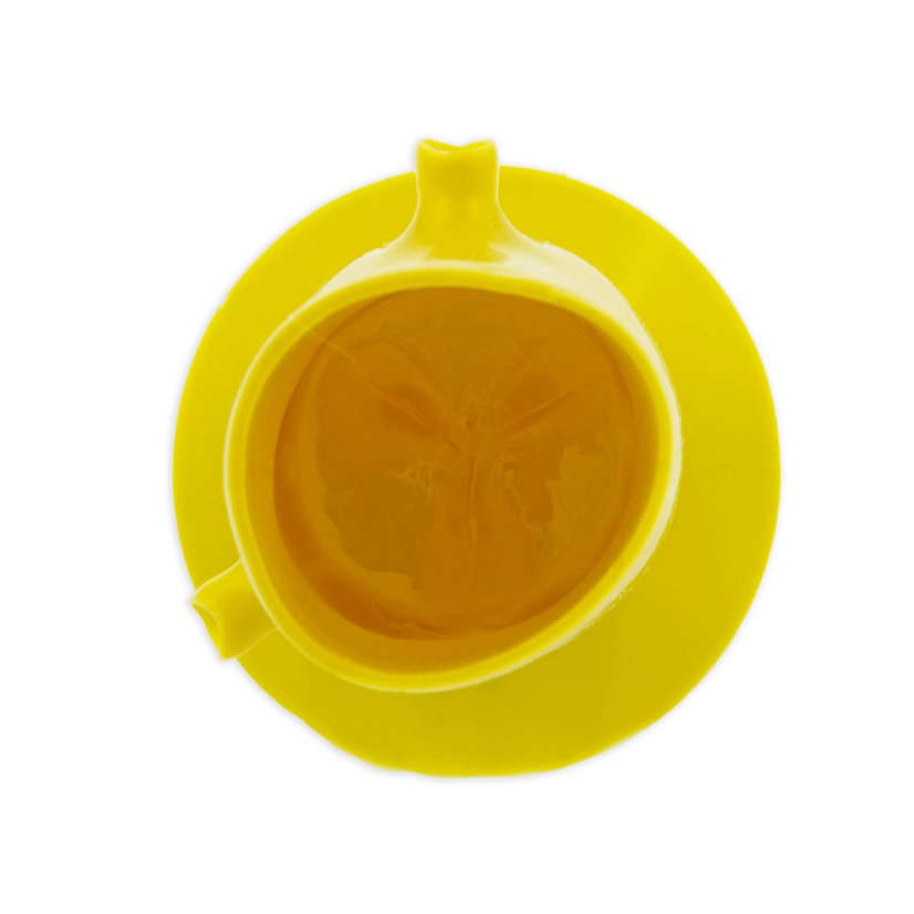 Devotini Aortic Sim Aorta