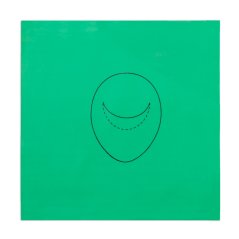 Verberkmoes Mitral Sim Foil technique B