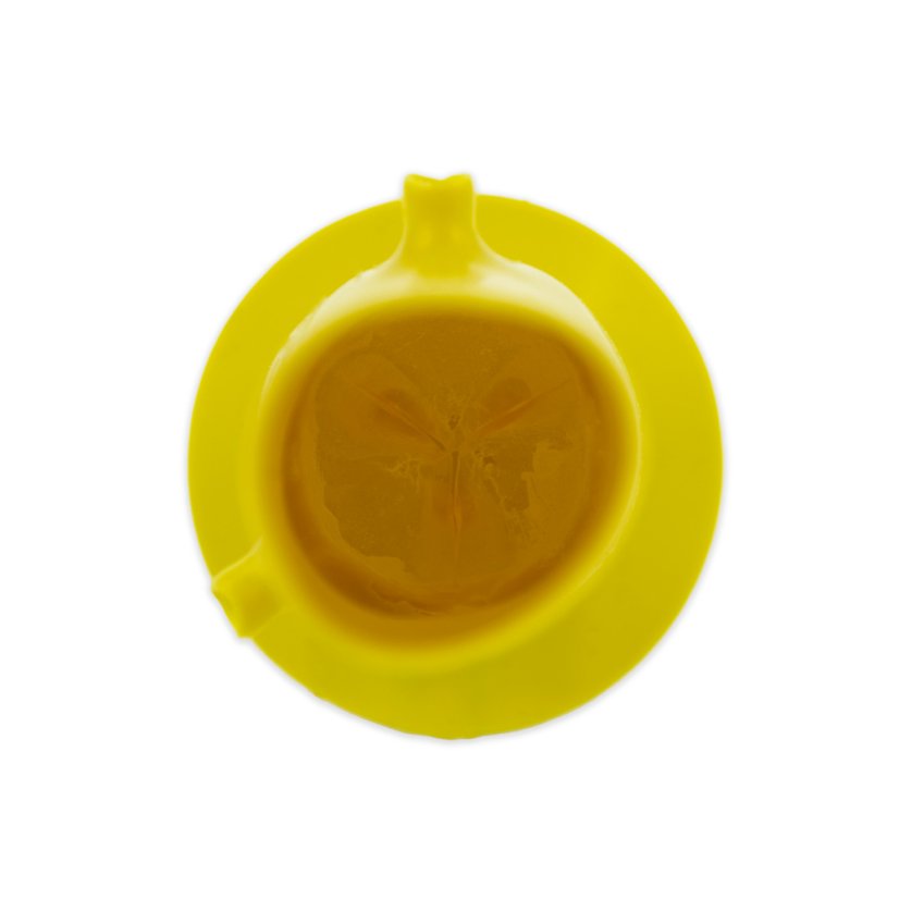 Devotini Aortic Sim Aorta
