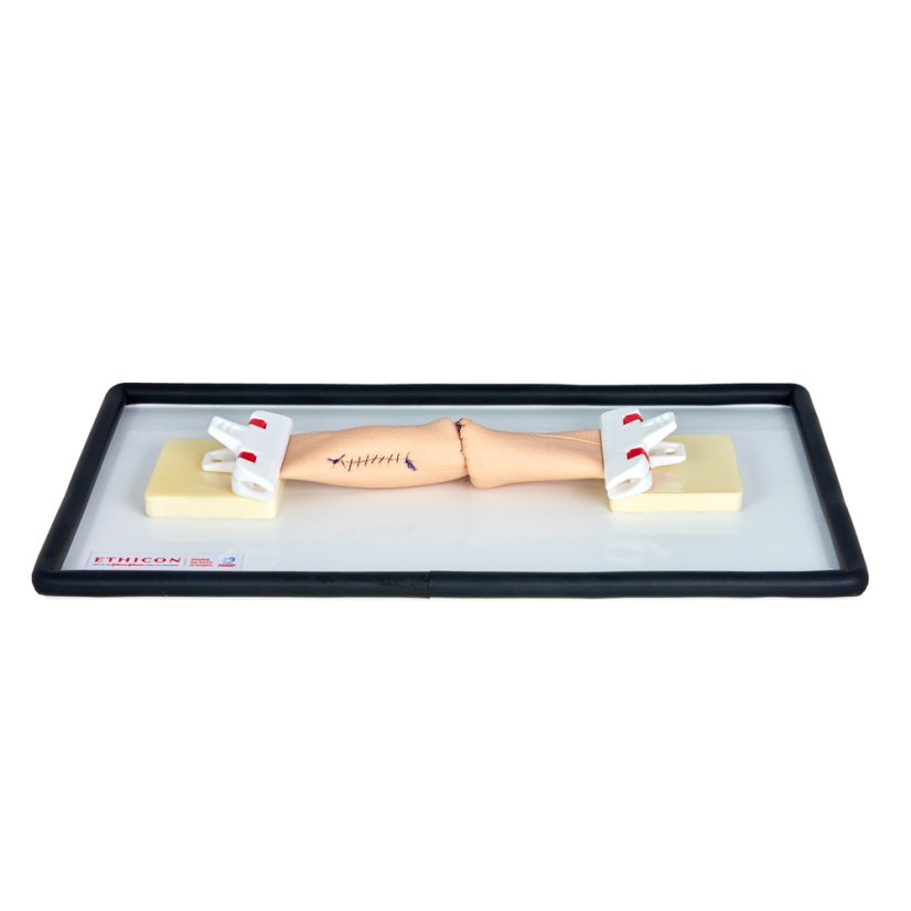 Anastomotic sim