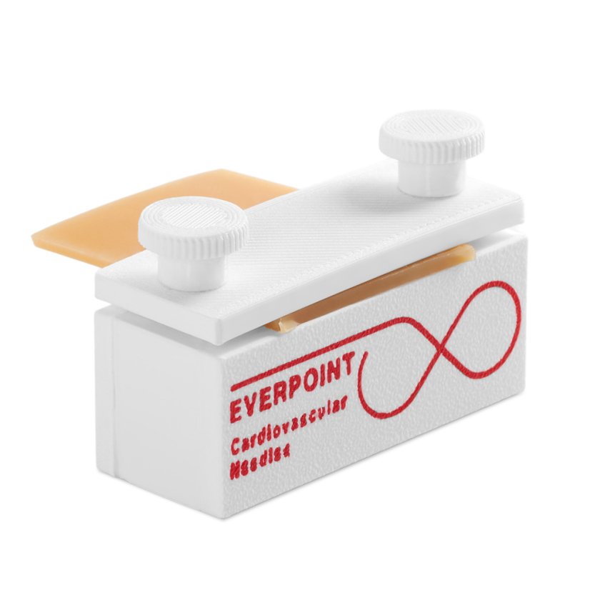 Everpoint demo test