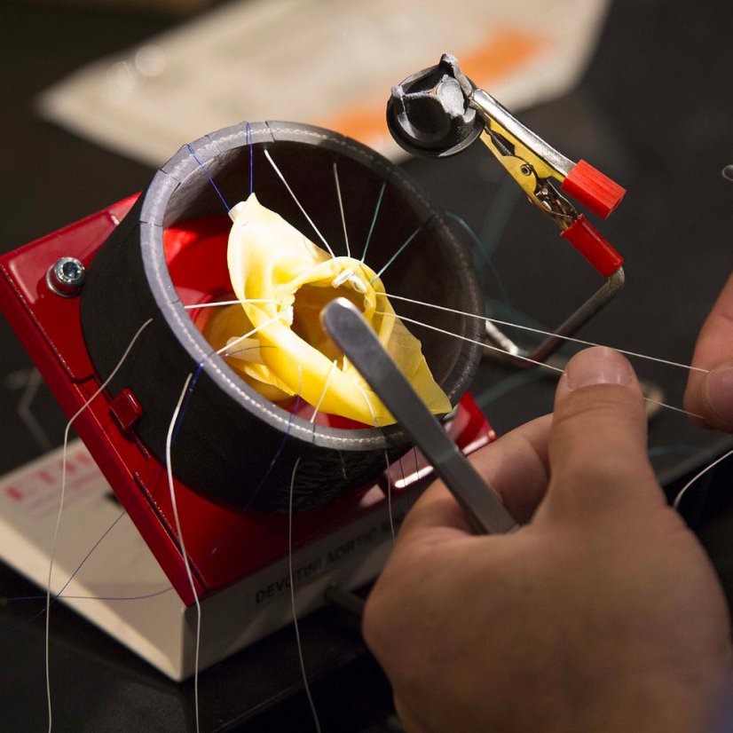 Devotini Aortic Simulator
