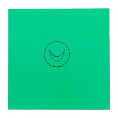 Verberkmoes Mitral Sim Foil technique A