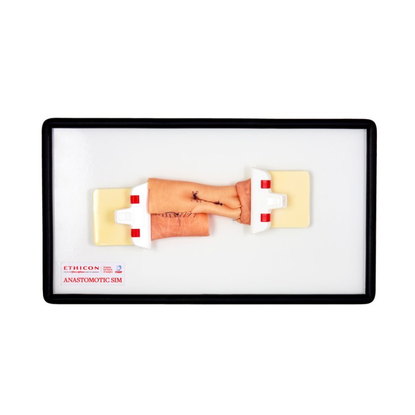 Anastomotic sim