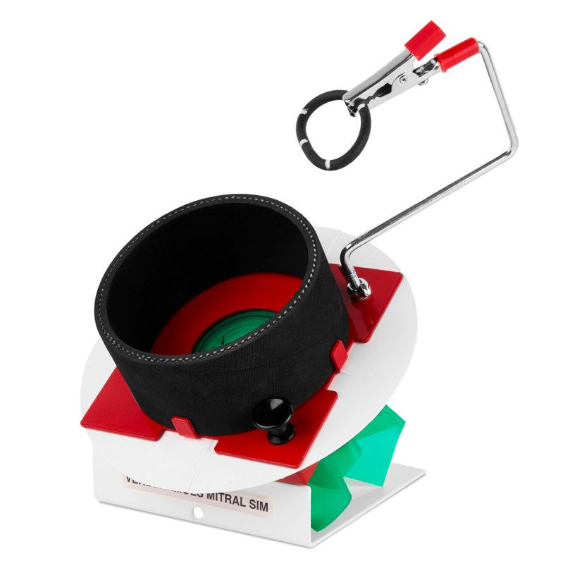 Verberkmoes Mitral Simulator
